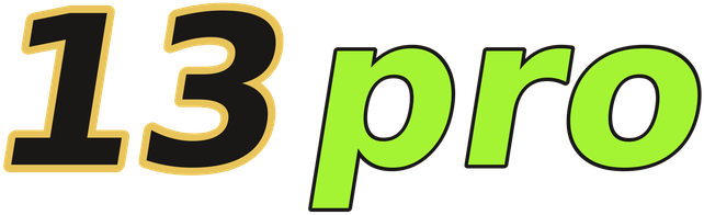 13pro logo